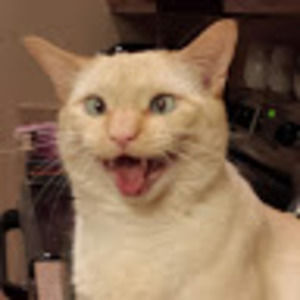 Meet your Posher, Carrie